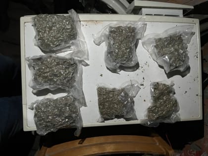 Полицейские изъяли у рязанца более 800 граммов наркотиков