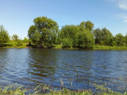 МЧС Рязанской области предупредило жителей о жаре до +32