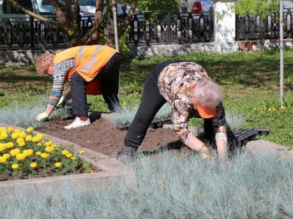 В Рязани продолжается высадка цветов ко Дню Победы