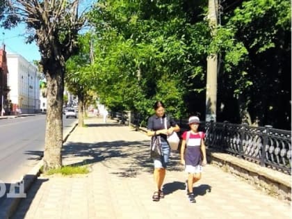 Рязань 20 августа настигнет аномальная жара