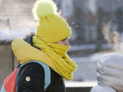 В Рязанской области на 6-7 января объявили оранжевый уровень опасности из-за морозов