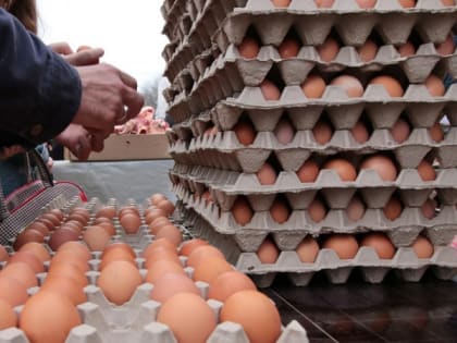 22 декабря в Рязани начнут работать новогодние ярмарки