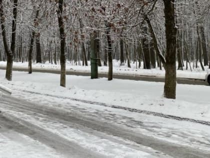 3 марта в Рязанской области ожидается туман и до +4