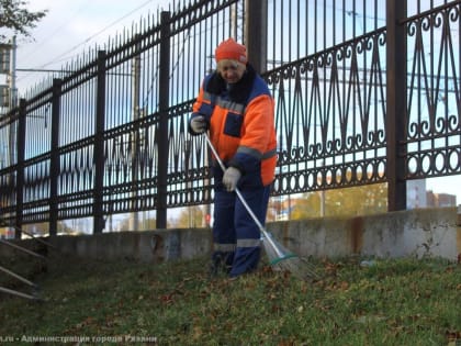 Дирекция благоустройства проводит сезонные работы на рязанских улицах