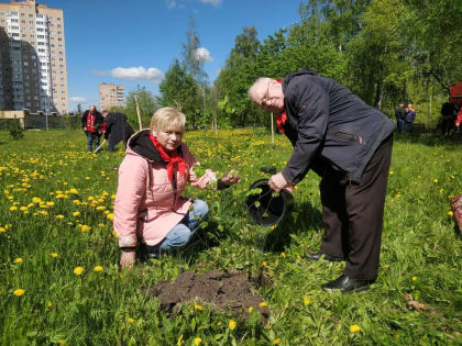 В Рязани в Комсомольском парке заложили аллею в честь 100-летия Пионерии