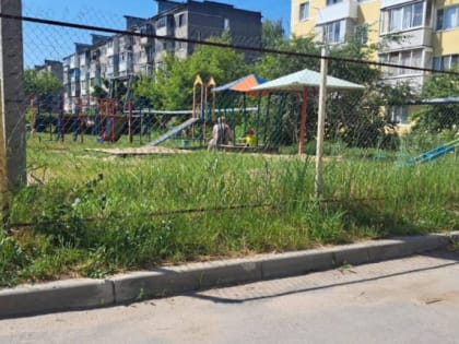 За неделю в Рязанской области клещи покусали 53 ребёнка