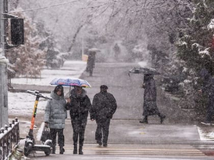 Днём 14 марта в Рязанской области ожидается ветер до 20 метров в секунду