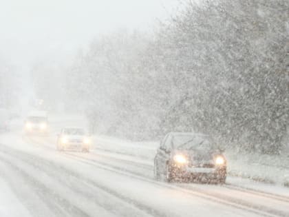 25 февраля в Рязанской области пройдет сильный снегопад и потеплеет до +3