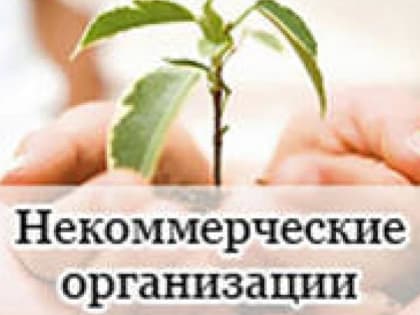 Государственная регистрация  некоммерческих организаций при создании