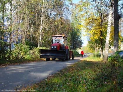 Дирекция благоустройства проводит уборку территорий и уход за зелеными насаждениями