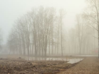 МЧС Рязанской области предупредило о густом тумане 10 апреля