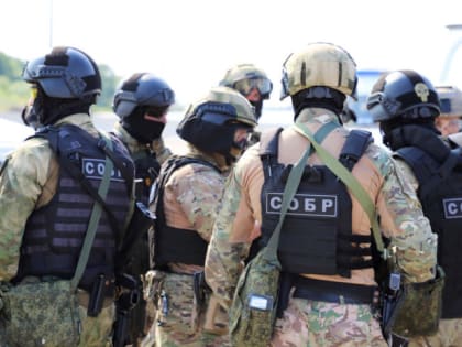 В Рязанской области задержан подозреваемый в похищении и убийстве семьи депутата