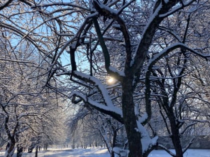 25 декабря в Рязанской области ожидается снег и до -7