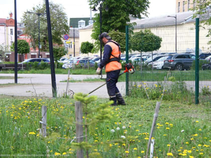 Окос травы и уход за цветниками: в Рязани продолжаются сезонные работы по благоустройству