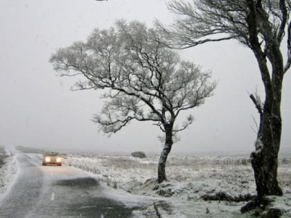 МЧС предупредило о мощном ветре в Рязанской области днем 15 марта