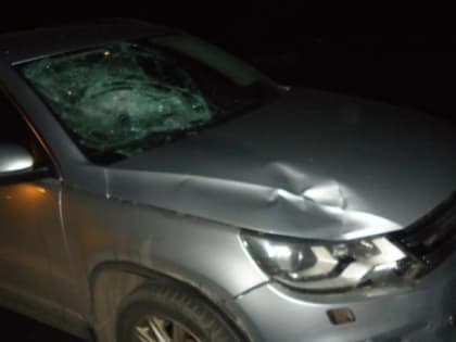 В Рыбновском районе сбили пешехода