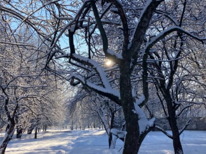1 февраля в Рязанской области ожидается дождь и до +2