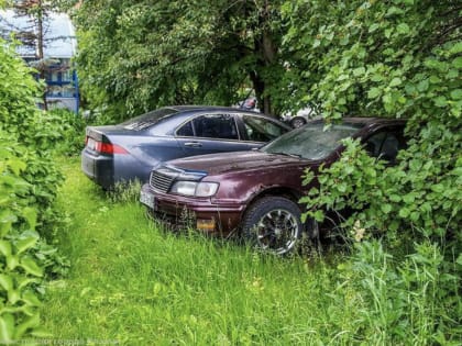 За парковку на зеленой зоне оштрафовали больше 3,5 тысяч рязанцев