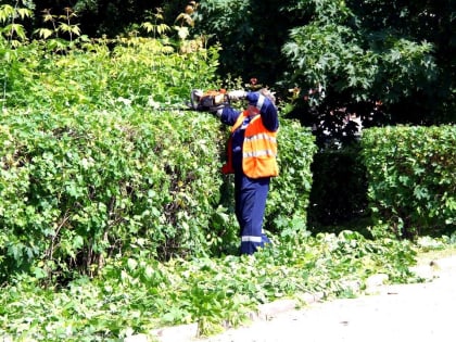 В Рязани продолжается озеленение и уборка городских территорий