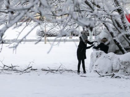 Жителям Центральной России прогнозируют неделю морозов до -20