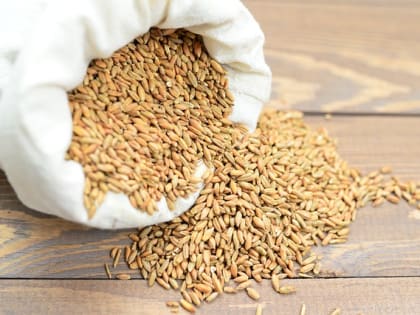 Погрузка зерна в Рязанской области увеличилась в 1,5 раза в январе-феврале