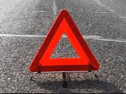 В Рязани на улице Горького автомобиль сбил девочку