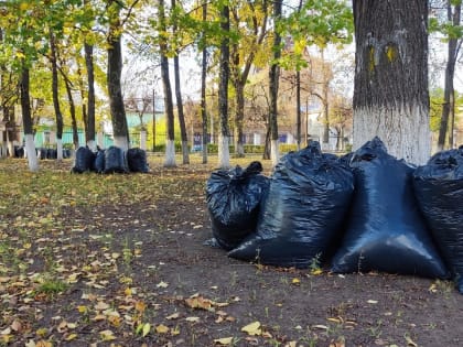 С рязанских улиц убирают мусор и вывозят ветки