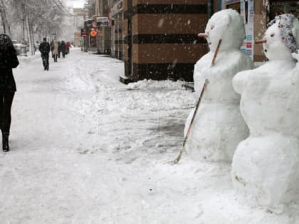 22 февраля в Рязанской области ожидается снег и до -20