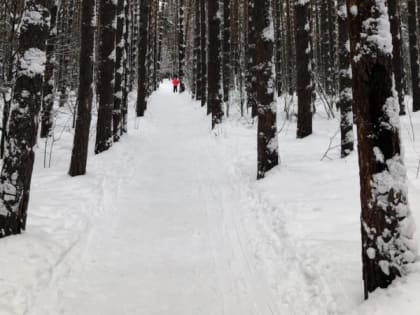 11 февраля в Рязанской области ожидаются морозы до -27 градусов