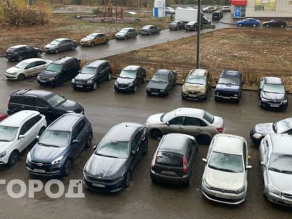 В Рязанской области водитель Toyota провел под стражей три дня за тонировку