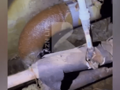 Проблемы с канализацией в Рязани: жительница возмущена бездействием ЖКХ