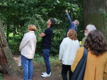 Судьбу 150-летнего дуба в ЦПКиО Рязани решат после научной экспертизы