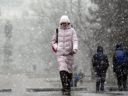 19 и 20 февраля в Рязанской области ожидается мощный снегопад