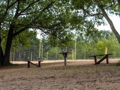 17 июля в Рязанской области ожидается туман и жара до +34