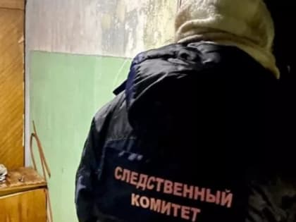 В Рязанской области завершено расследования убийства мужчины от рук сожительницы