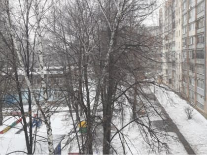 19 декабря в Рязанской области ожидается сильный ветер и до +5