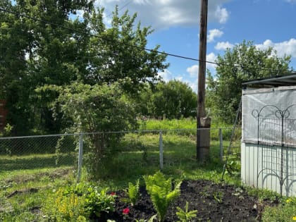 Пощады не будет: за инструменты и садовую технику на даче россиян теперь начнут штрафовать с 1 августа