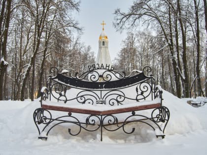 Андрей Макаров поздравил рязанцев с Новым годом