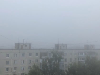 МЧС предупредило рязанцев о сильном тумане утром 29 сентября
