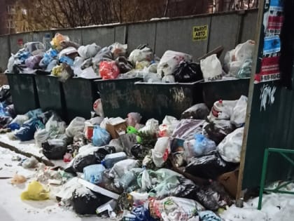 Прокуратура прокомментировала жалобы жителей Рязани на невывоз мусора «Эко-Пронском»