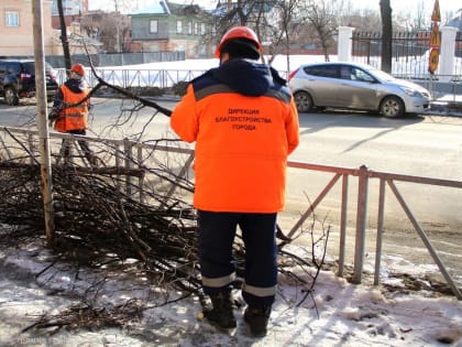 Дирекция благоустройства проводит работы в областном центре