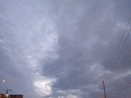 16 мая в Рязанской области ожидается порывистый ветер и до +18