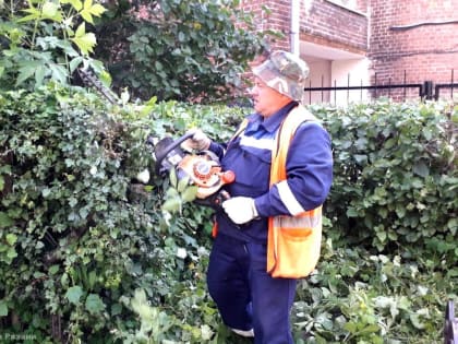 Окос травы и уход за цветниками: в Рязани продолжаются сезонные работы по благоустройству