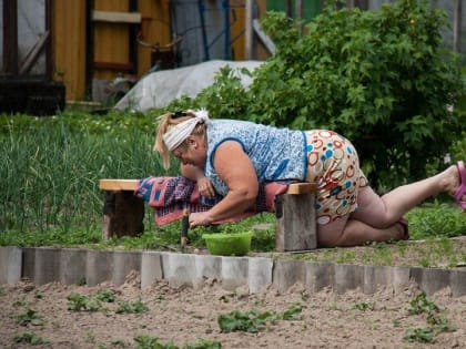 Дача убивает: Под Волгоградом женщина умерла на грядках и осталась лежать в огороде