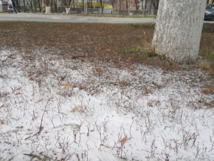 8 мая в Рязанской области ожидается мокрый снег и до -2