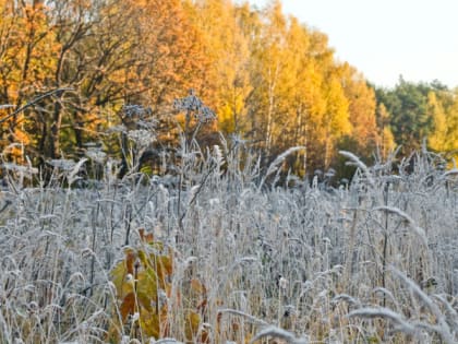 Рязанское МЧС выпустило метеопредупреждение на 3 ноября из-за холодов