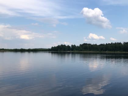 12 июня в Рязанской области ожидается порывистый ветер и до +21 градуса