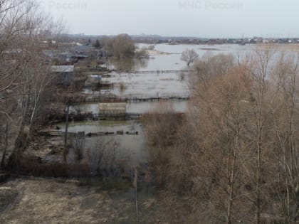 3 апреля в Рязанской области ожидаются порывы ветра до 20 метров в секунду