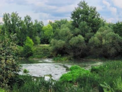 В Рязани на Борковском карьере нашли мужское тело