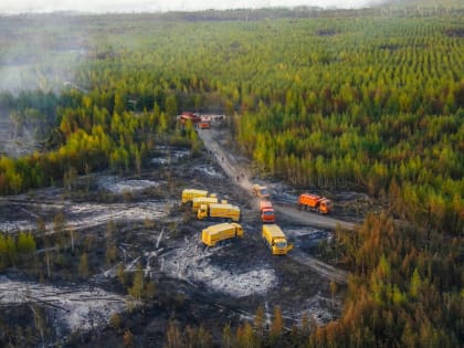 Огонь в Рязанской области вплотную подошёл к ряду деревень, их удалось отстоять